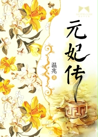元妃传